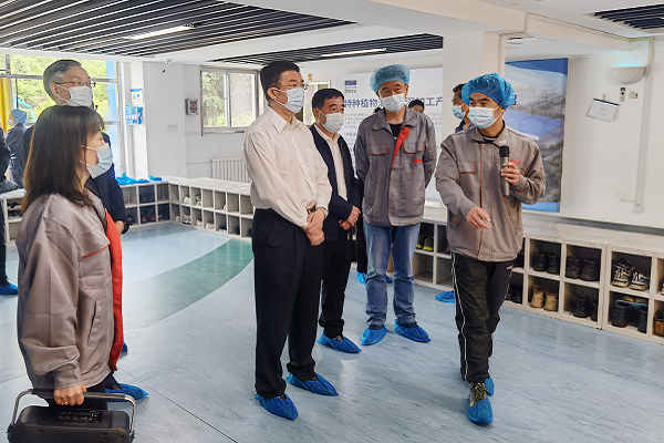 省领导来溪调研稳经济、保就业、安全生产等工作