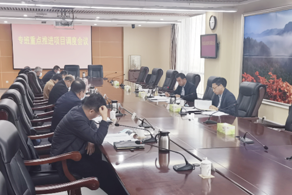 吴世民主持召开项目专班工作推进会议