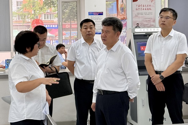孙付春调研政务服务相关工作