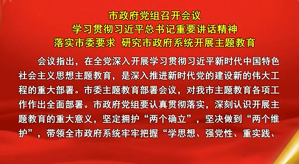 市政府党组召开会议学习贯彻习近平总书记重要讲话精神落实市委要求研究市政府系统开展主题教育