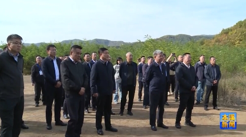 全省废弃矿山复绿工作现场会议在我市举行