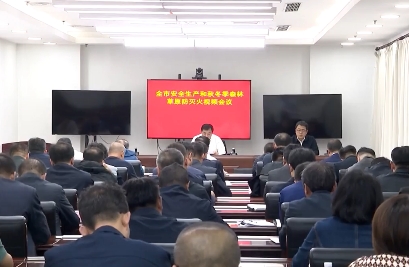 全市安全生产和秋冬季森林草原防灭火视频会议召开