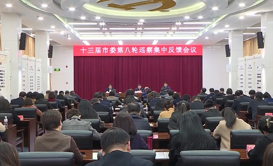 市委巡察组全面反馈十三届市委第八轮巡察情况