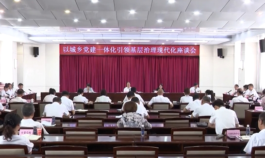 我市召开党建引领基层治理工作座谈会