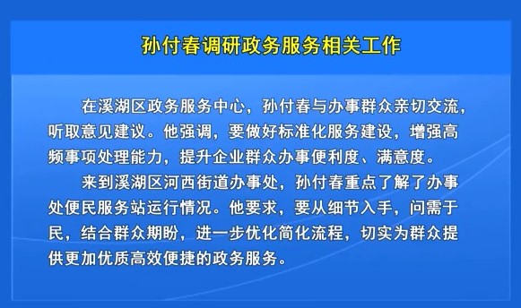孙付春调研政务服务相关工作