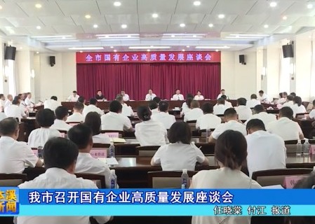 我市召开国有企业高质量发展座谈会