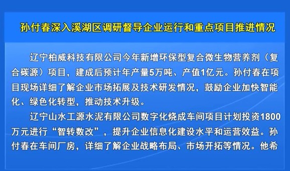 孙付春深入溪湖区调研督导企业运行和重点项目推进情况