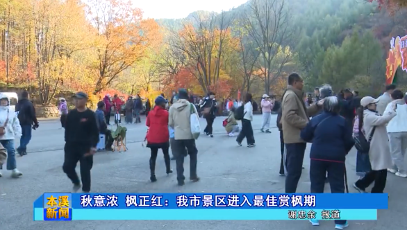 秋意浓 枫正红： 我市景区进入最佳赏枫期