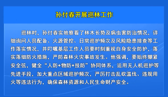 孙付春开展巡林工作
