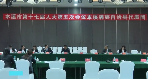 人大代表审议市人大常委会和“两院”工作报告