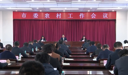 市委农村工作会议召开
