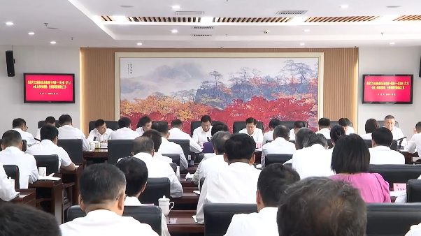 市政府第113次常务会议召开