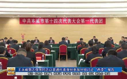 王永威郭志强等同志以普通代表身份参加分组讨论“两委”报告