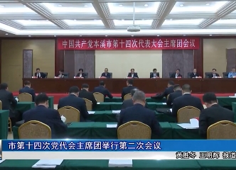 市第十四次党代会主席团举行第二次会议